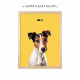 Karikatura Domácích Mazlíčků Plakát